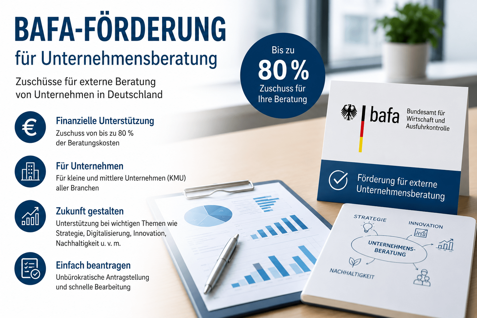 Übersicht der BAFA-Förderung Unternehmensberatung